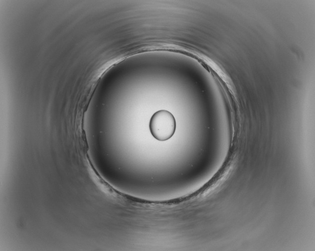 X0000112530905200908171418