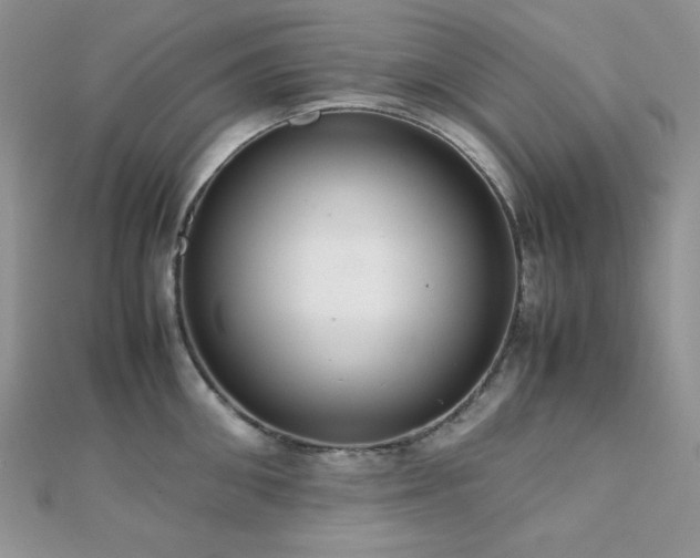 X0000112530906200908171418