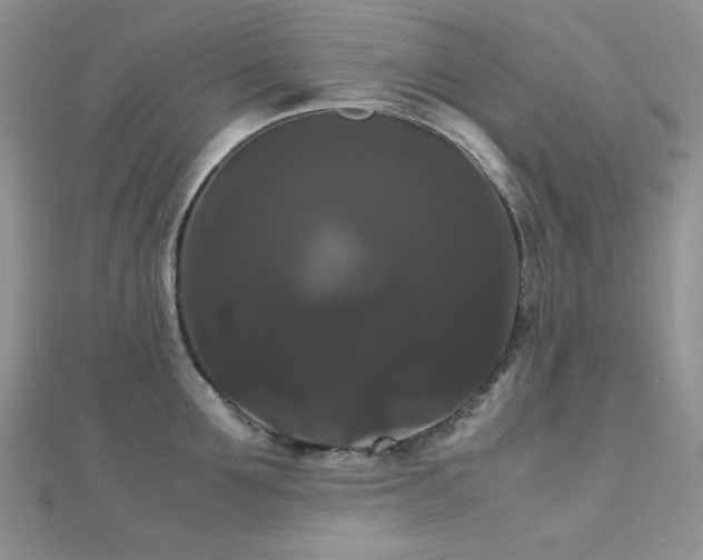 X0000112530907200908171418