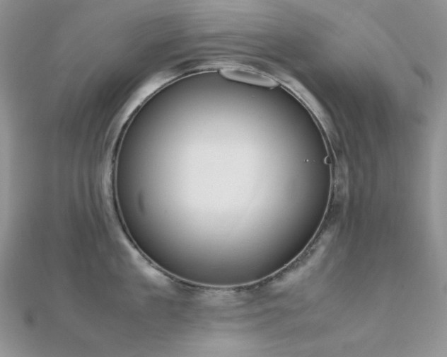 X0000112530909200908171418