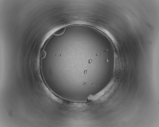 X0000112530910200908171418