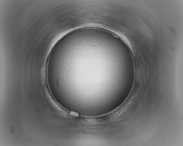 X0000112530911200908171418