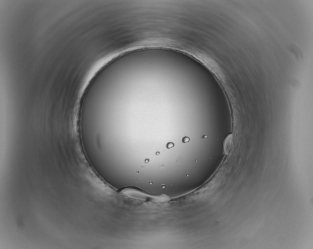 X0000112530912200908171418