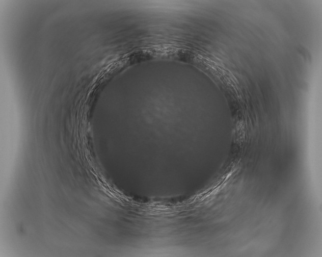 X0000112530913200908171417