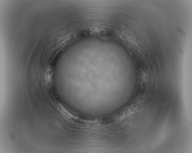 X0000112530914200908171417