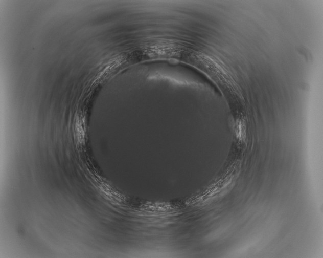 X0000112530915200908171417