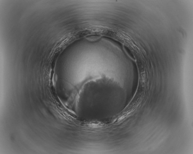X0000112530916200908171417