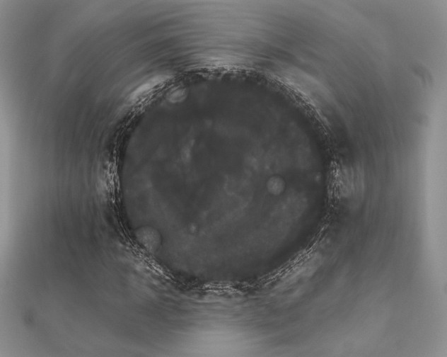 X0000112530918200908171417