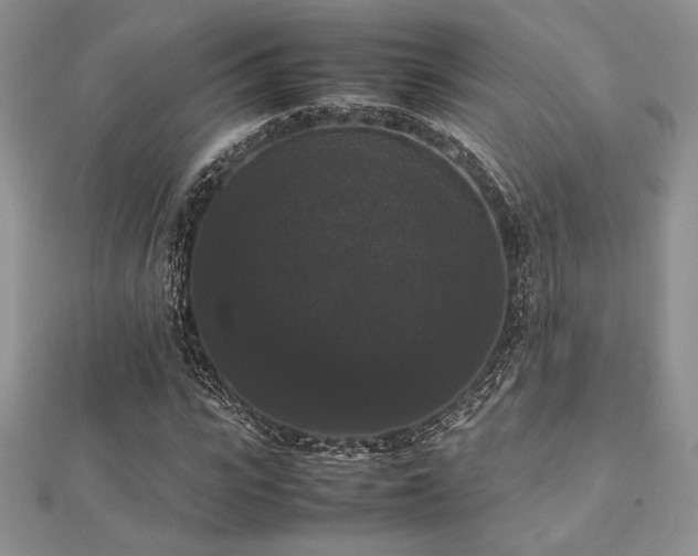 X0000112530919200908171417