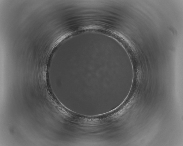 X0000112530921200908171417