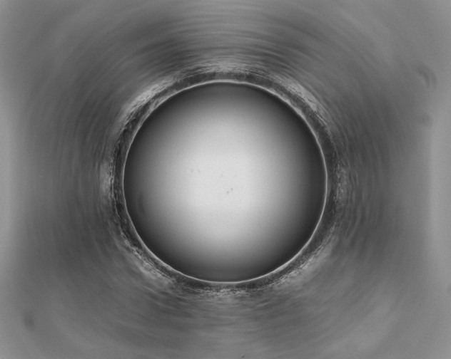 X0000112530922200908171417