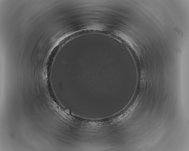 X0000112530923200908171417