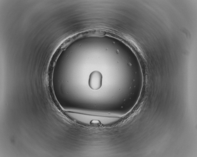 X0000112530924200908171417