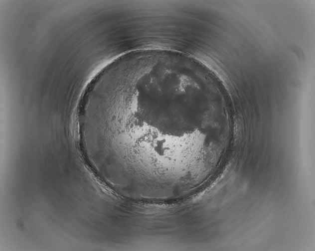 X0000112530925200908171417