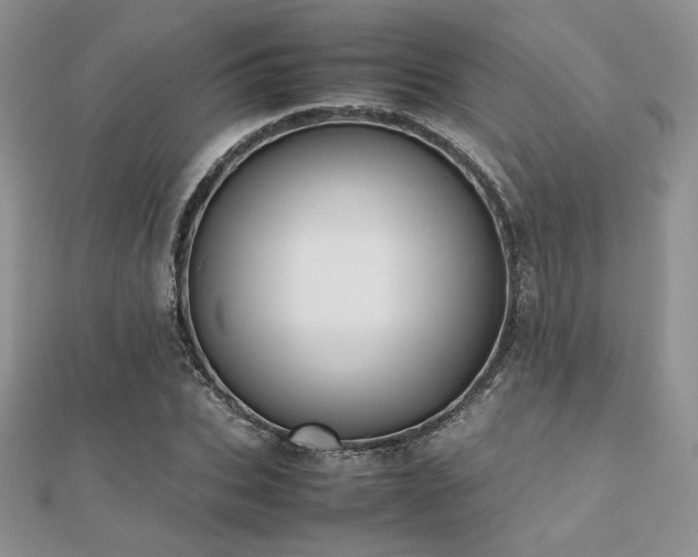 X0000112530927200908171417