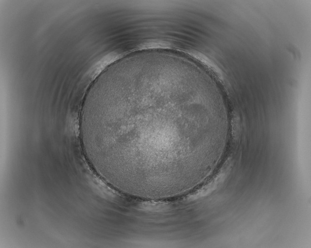 X0000112530929200908171418