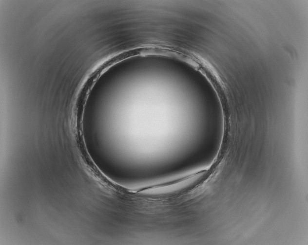 X0000112530931200908171418