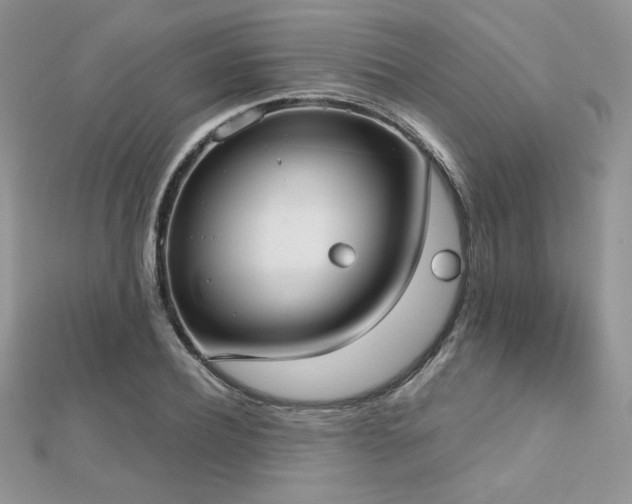 X0000112530932200908171418