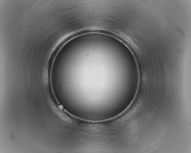 X0000112530934200908171418