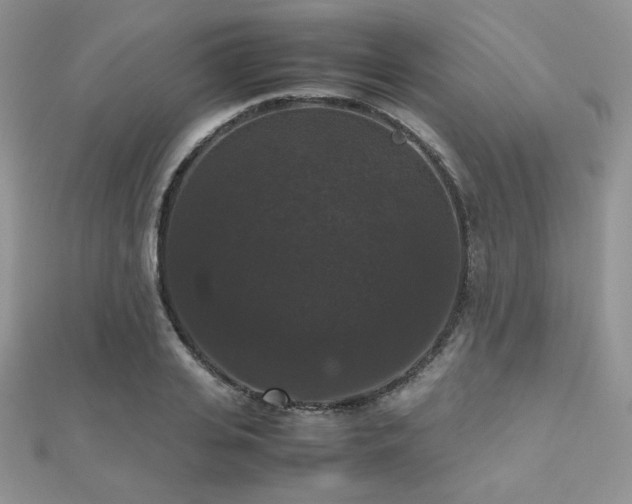 X0000112530935200908171418