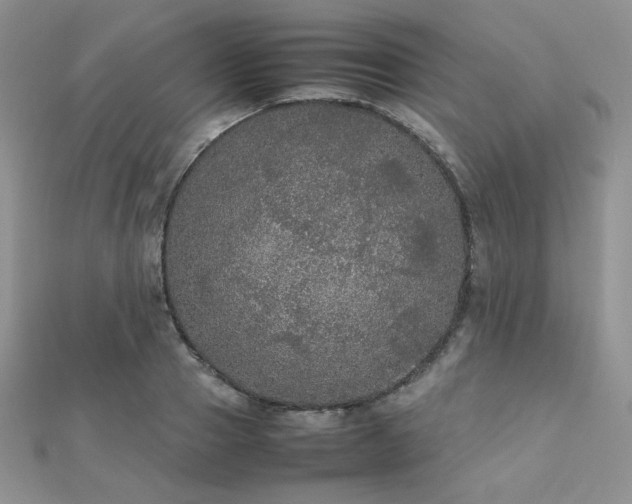 X0000112530937200908171418