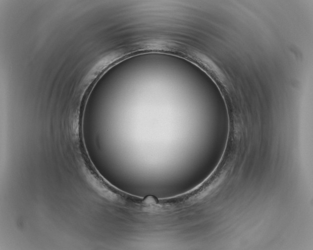 X0000112530938200908171418