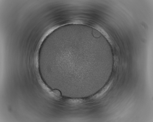 X0000112530939200908171418