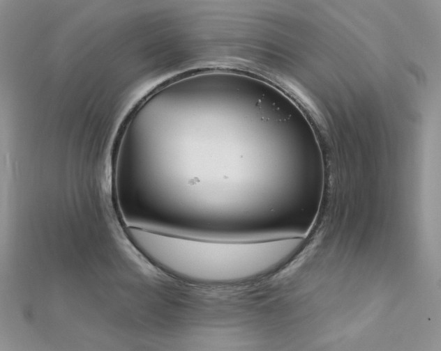 X0000112530940200908171418