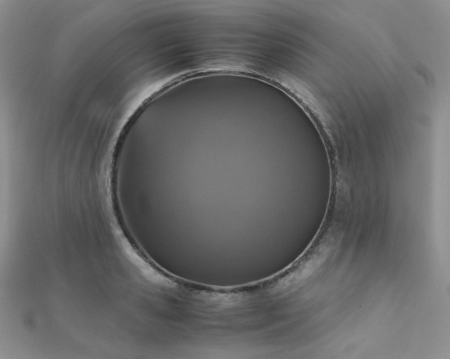 X0000112530941200908171418