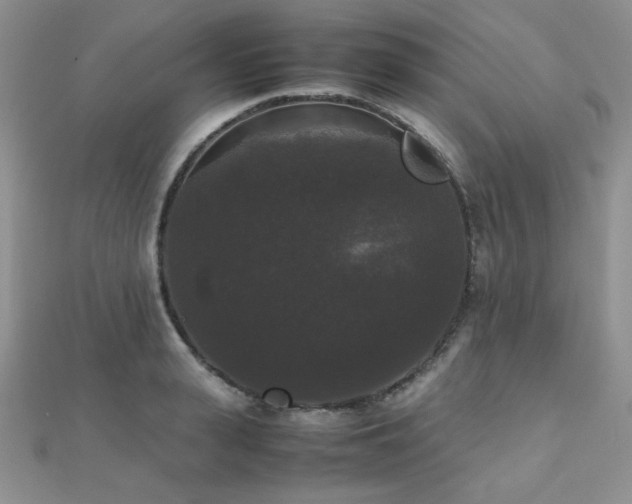 X0000112530943200908171418