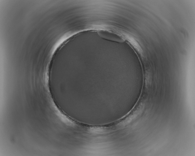 X0000112530944200908171418