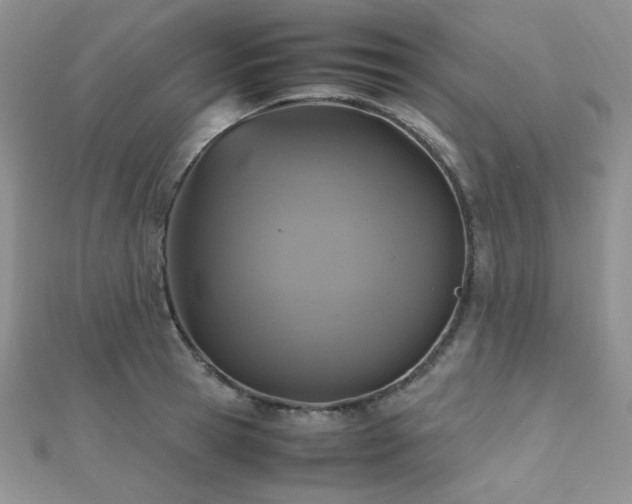 X0000112530945200908171418