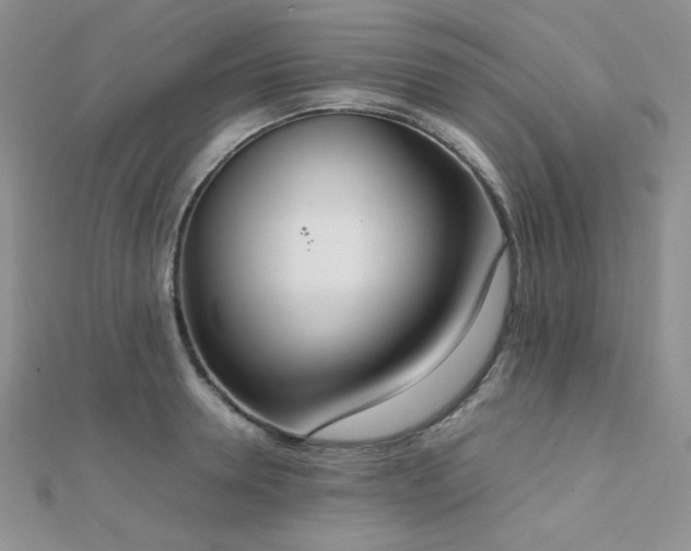 X0000112530946200908171418