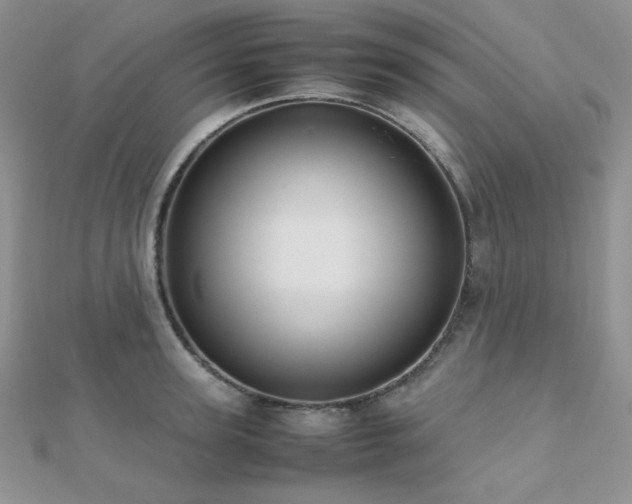 X0000112530947200908171418