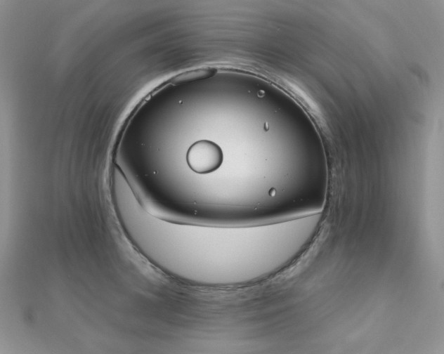 X0000112530948200908171418