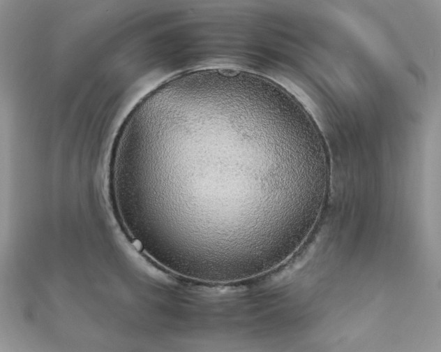 X0000112530949200908171418