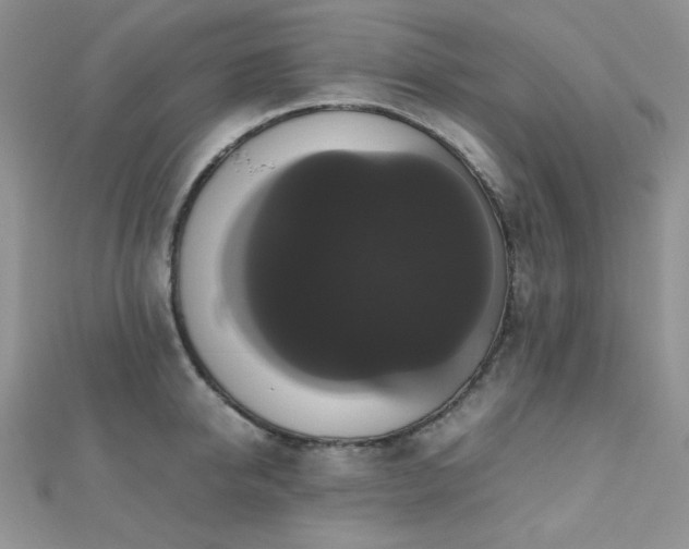 X0000112530950200908171418
