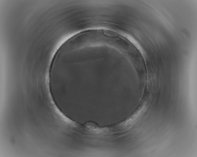 X0000112530951200908171418