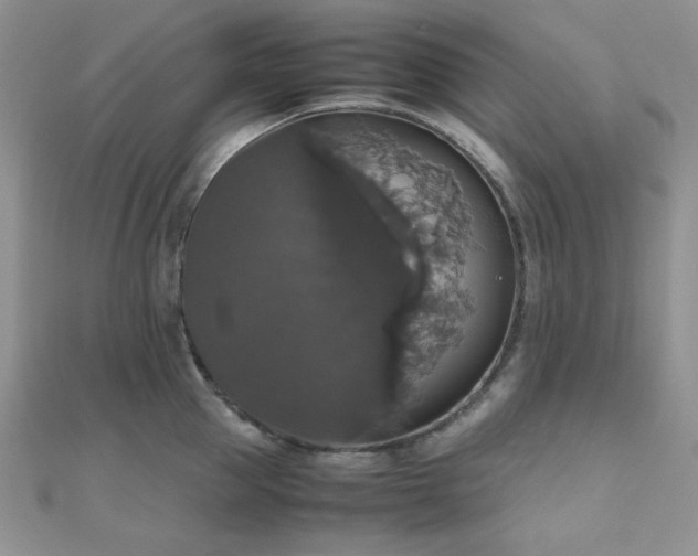 X0000112530953200908171418