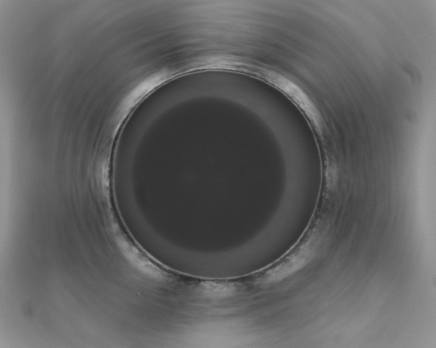 X0000112530954200908171418