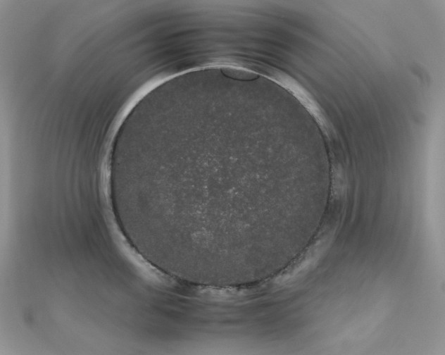 X0000112530955200908171418