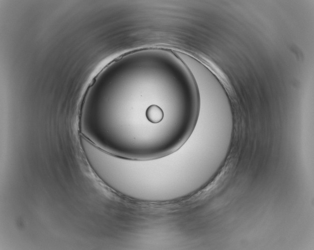 X0000112530956200908171418