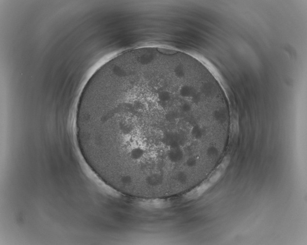 X0000112530957200908171418
