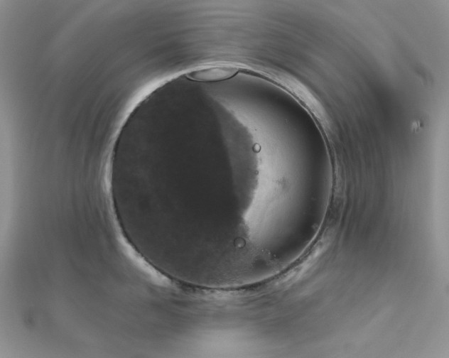 X0000112530958200908171418
