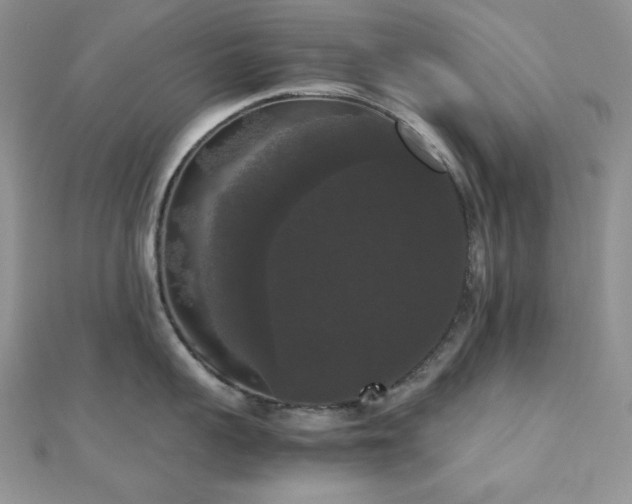 X0000112530959200908171418