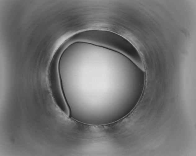 X0000112530960200908171418