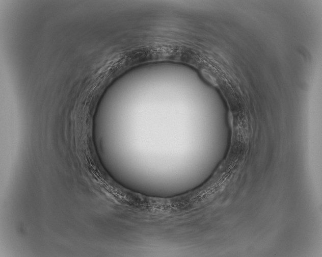 X0000112530961200908171417