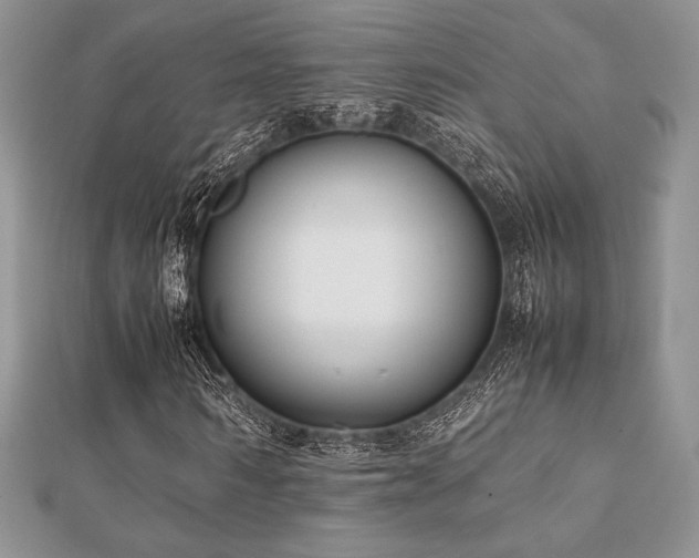 X0000112530962200908171417