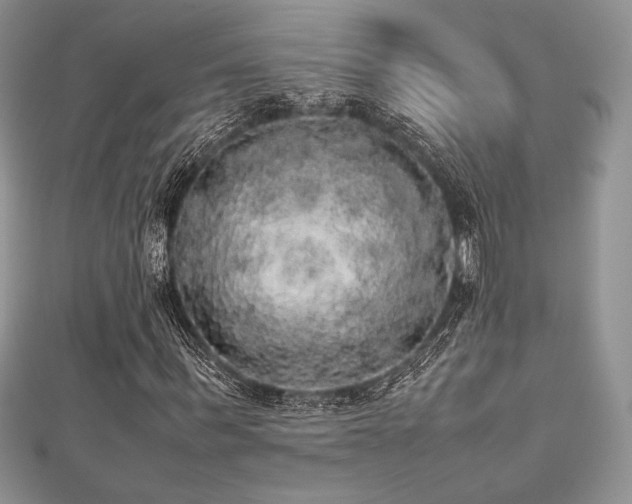 X0000112530963200908171417