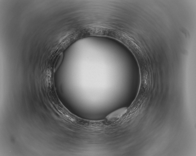 X0000112530964200908171417